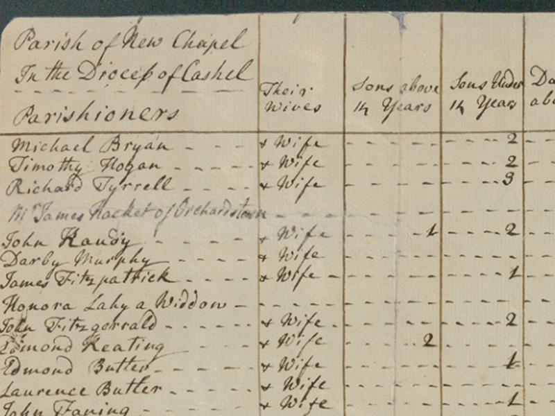 Servants, relations, friends and lodgers: The 1766 religious census of Newchapel, County Tipperary